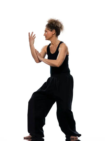 Woman Tai Chi Chuan Posture — Stock Photo, Image