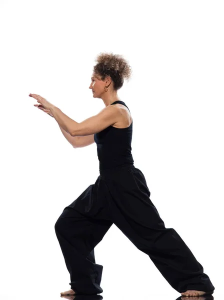 Vrouw Tai Chi Chuan Houding — Stockfoto