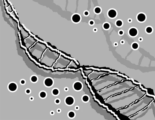染色体和Dna细胞 — 图库照片