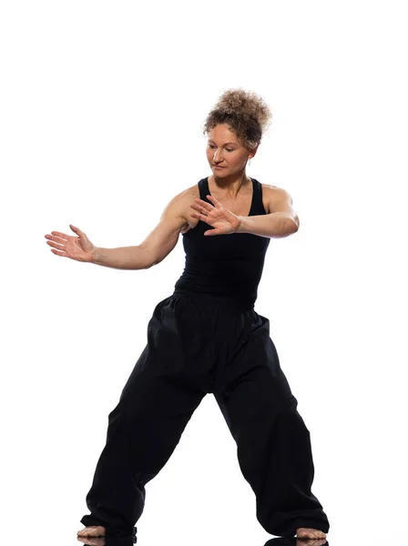 Vrouw Tai Chi Chuan Houding — Stockfoto