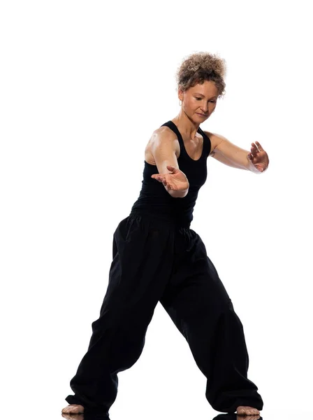 Vrouw Tai Chi Chuan Houding — Stockfoto