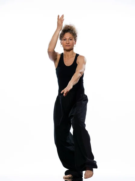 Vrouw Tai Chi Chuan Houding — Stockfoto