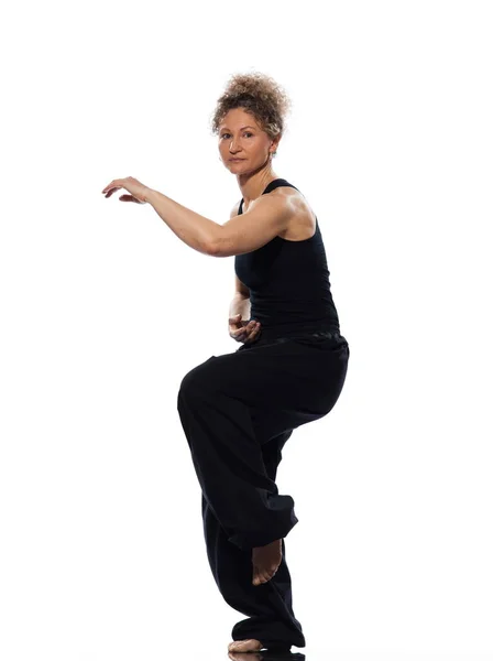 Vrouw Tai Chi Chuan Houding — Stockfoto