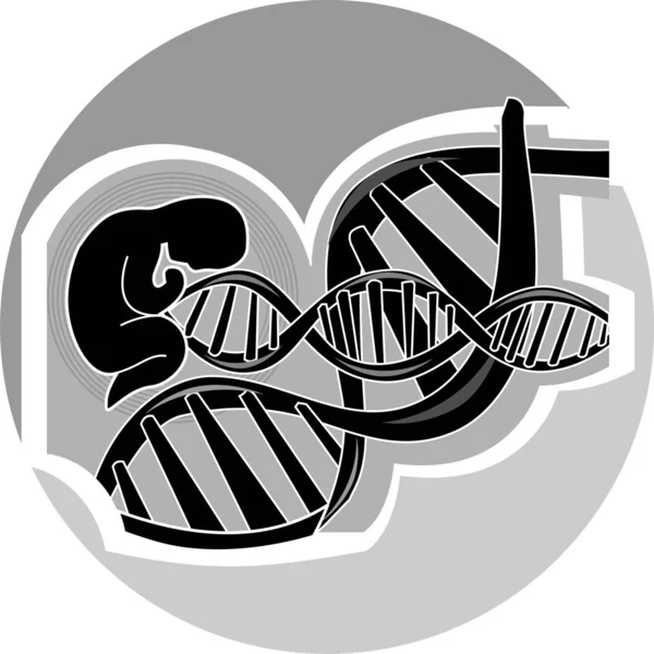 Gen Chromosomen Und Dna Zellen — Stockfoto