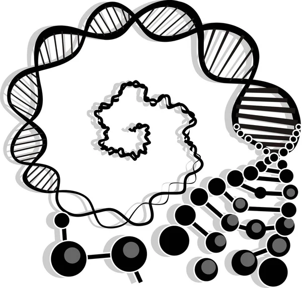 Genové Chromozomové Dna Buňky — Stock fotografie