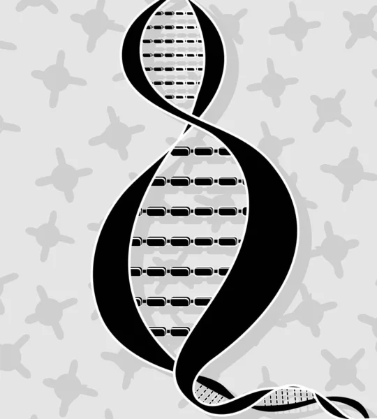 Genetik Gene Chromosomen Und Dna Zellen — Stockfoto