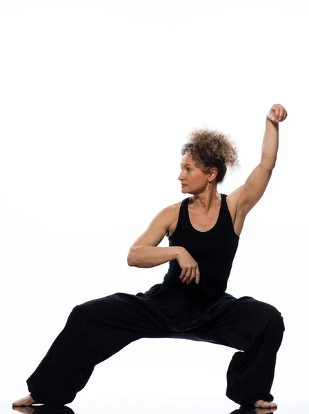 Woman Tai Chi Chuan Posture — Stock Photo, Image