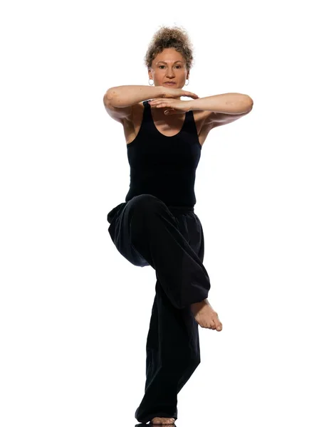 Woman Tai Chi Chuan Posture — Stock Photo, Image