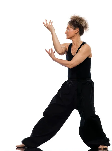 Vrouw Tai Chi Chuan Houding — Stockfoto