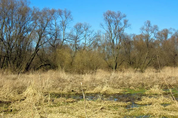 Uitzicht Het Vogelreservaat Windischleuba — Stockfoto