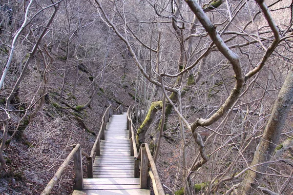 Scala Geisterwald — Foto Stock