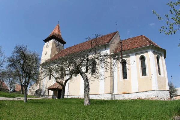 Rumania País Del Sudeste Europa Conocido Por Región Boscosa Transilvania —  Fotos de Stock