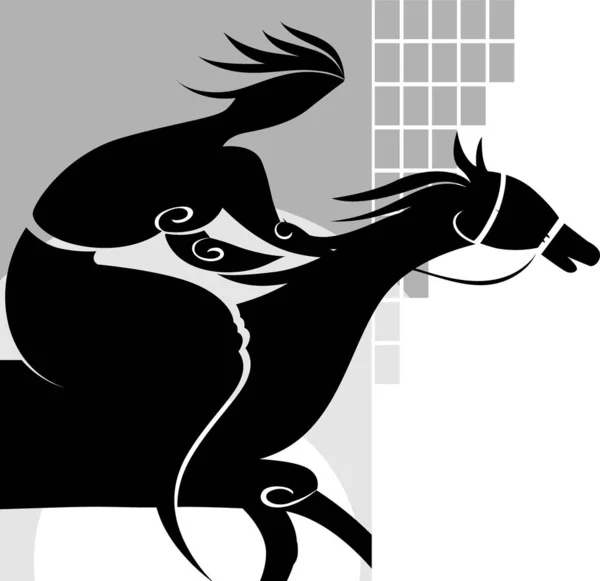 Portrait Horse Rider Daytime — Stock Photo, Image