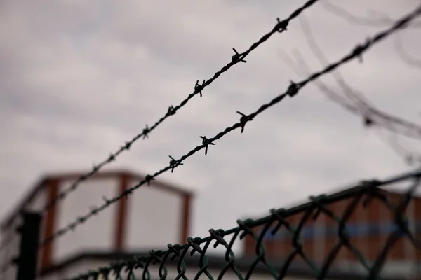 Barbed Wire Fence Background Sky — Stock Photo, Image