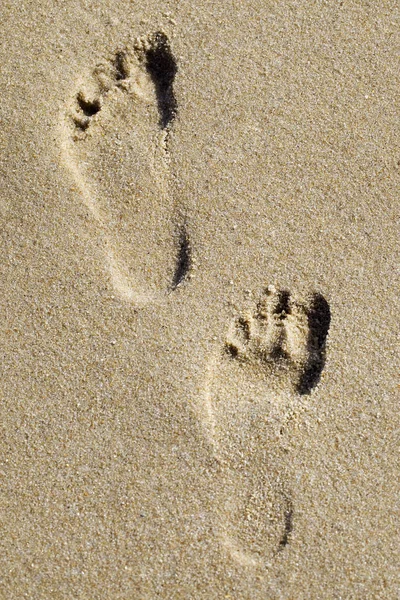 砂の中の痕跡 — ストック写真