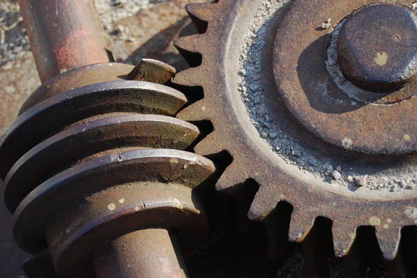 Engineering Gear Wheels Cogwheel — Stock Photo, Image