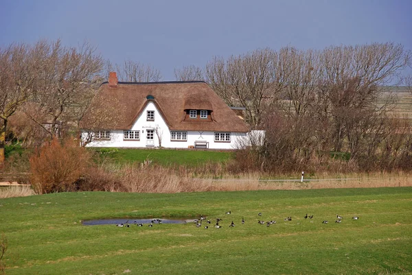 Pittoresk Uitzicht Natuur — Stockfoto