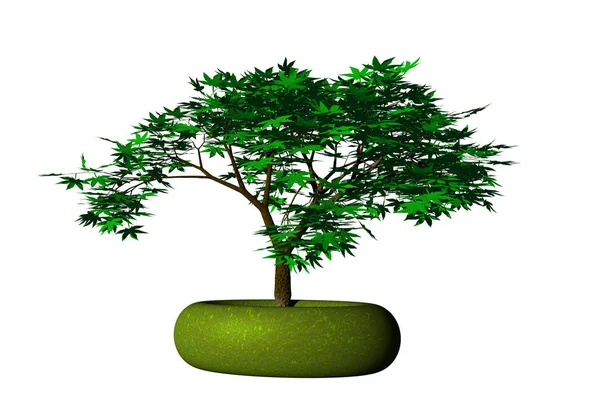Grönt Träd Med Liten Planta — Stockfoto