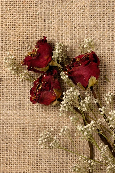 Røde Roser Blomsterblader – stockfoto