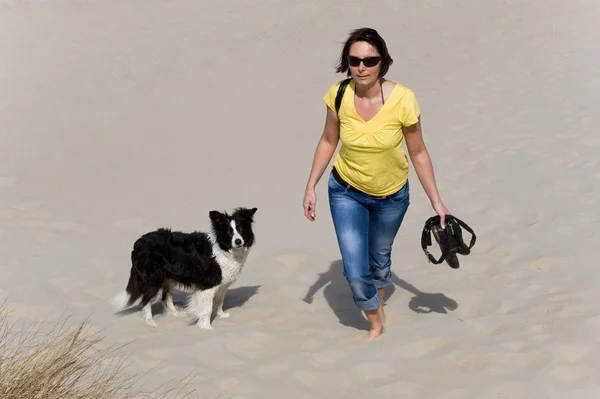 Panoramisch Uitzicht Duinen Selectieve Focus — Stockfoto