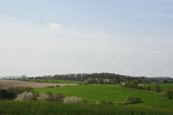 Campagne Agriculture Champ Terre — Photo