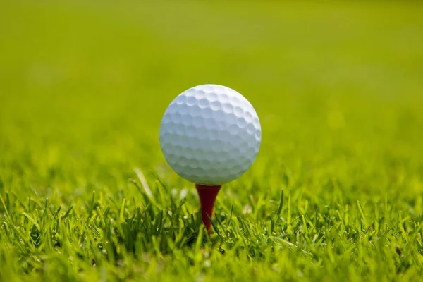 Golfbal Tee — Stockfoto