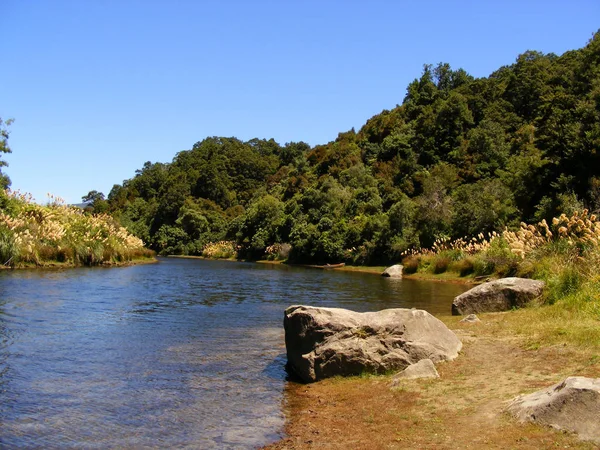 Urewera Nationell Park — Stockfoto