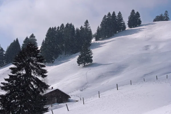 Winterlandschaft Mit Hütte — Stockfoto