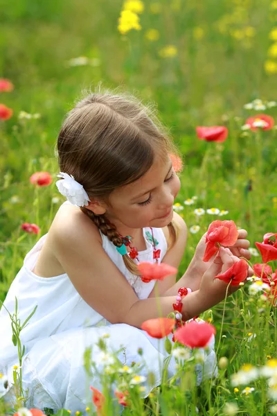 Girl Wild Poppy Flowers — Stockfoto