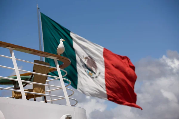 Seevögel Vor Mexikanischer Flagge — Stockfoto