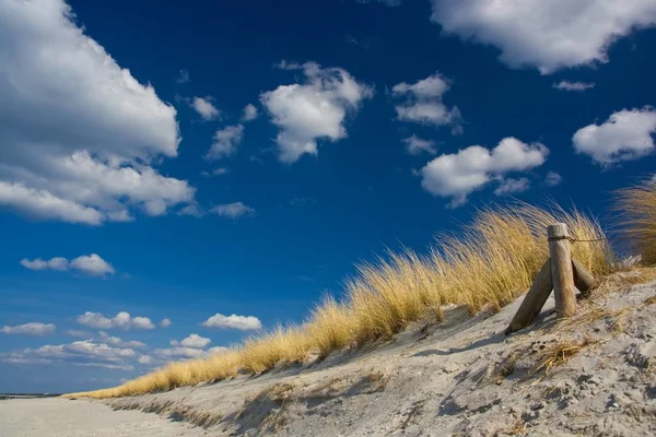 Vista Panoramica Delle Dune Focus Selettivo — Foto Stock