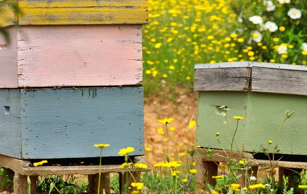 Casas Abejas Portugal —  Fotos de Stock