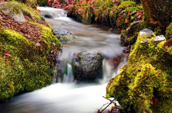 Cascada Naturaleza Flujo Agua Del Río —  Fotos de Stock