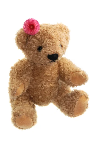 Teddybär Mit Blume — Stockfoto