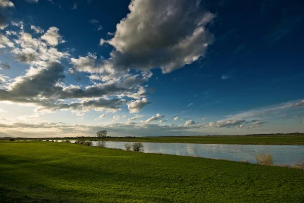 Grüne Wiese Mit Blauem Himmel — Stockfoto