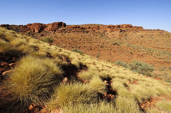 Australia Północne Terytorium Czerwone Centrum — Zdjęcie stockowe