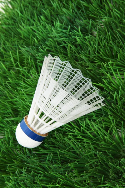 Badminton Actief Spel Sport — Stockfoto