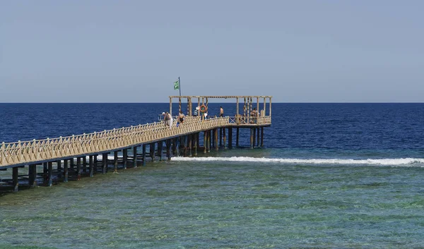 Sulla Spiaggia Sul Mare Rosso Egizio — Foto Stock