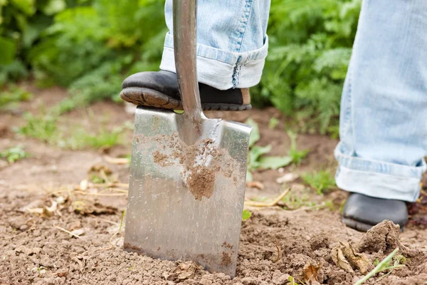 Den Boden Garten Ausgraben — Stockfoto