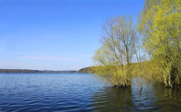 Hermosa Vista Naturaleza Escena — Foto de Stock