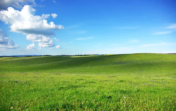 Πράσινο Πεδίο Στην Πορτογαλία Περιφέρεια Alentejo — Φωτογραφία Αρχείου