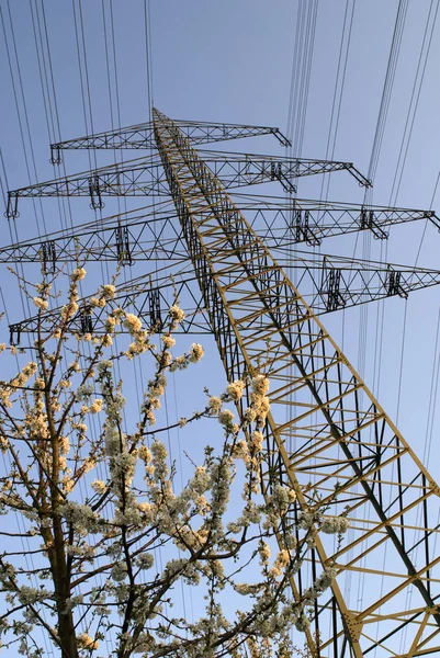 Transmissietoren Strommast Transmissie Elektrische Stroom — Stockfoto