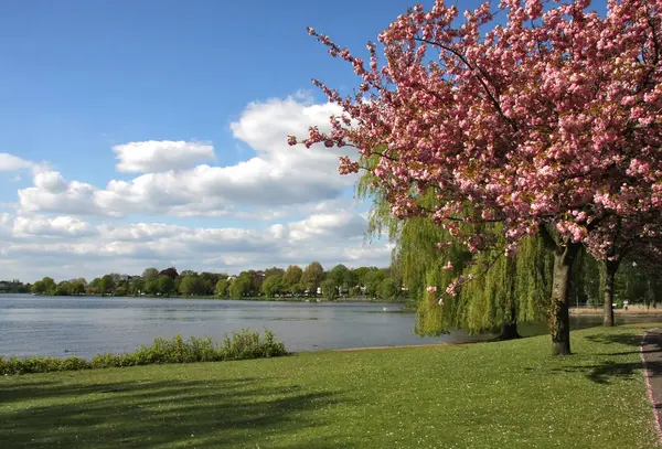 Spring Alster — ストック写真