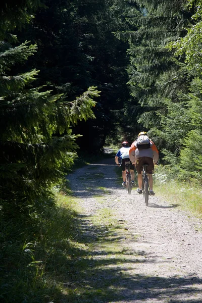 Ciclistas Montaña Naturaleza — Foto de Stock