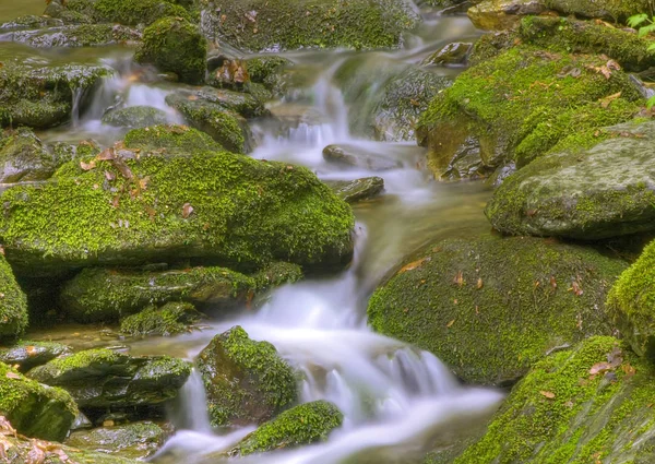 Příroda Foto Prostředí Venkovní — Stock fotografie