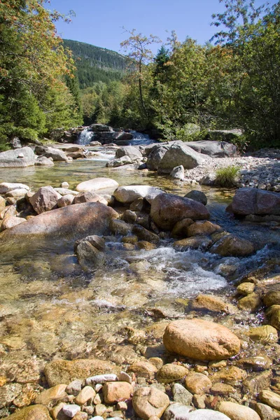 자연의아름다움 강물과 — 스톡 사진