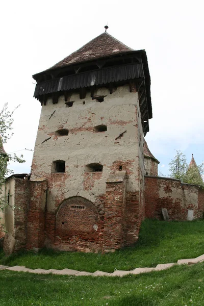 Romania Alma Vii Almen — Zdjęcie stockowe