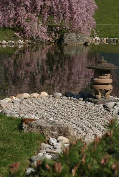 Japanese Garden Nature Flora — Stock Photo, Image
