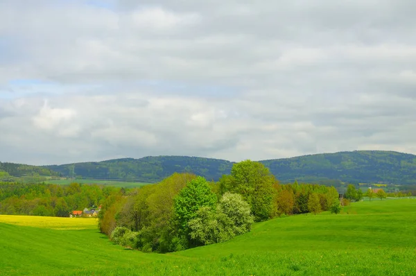 Paisaje Verano Con Hierba Verde Nubes — Foto de Stock