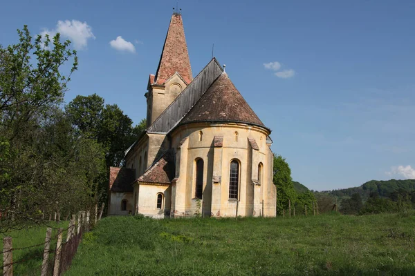 Roumanie Est Pays Europe Sud Est Connu Pour Région Forestière — Photo